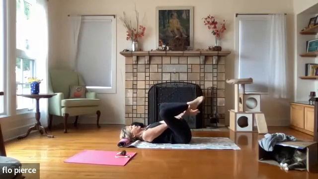 SML Pilates with a Cat in the Box and flo смотреть онлайн