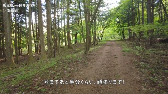 女ひとりで行く中山道歩き。５日目｜5時間かかった碓氷峠越え。泣ける絶景を目の当たりにする。安中宿、松井田宿、坂本宿、軽井沢宿 смотреть онлайн