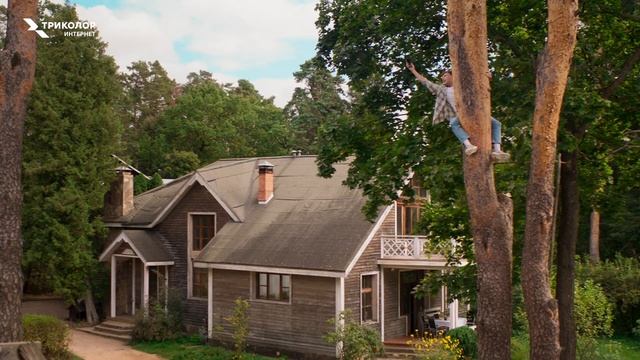 Да, работаем на суперскоростях! смотреть онлайн