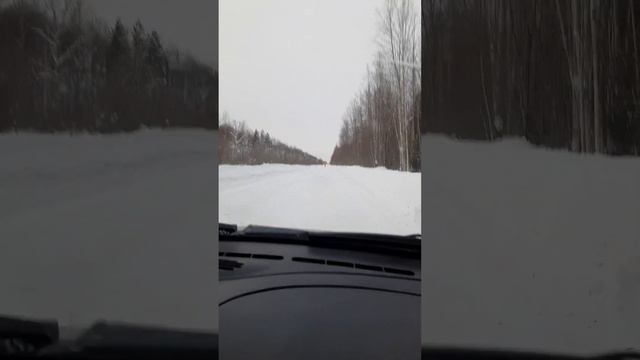 шины Hankook Winter I Pike RS2 W429 размер 215х65х16 смотреть онлайн