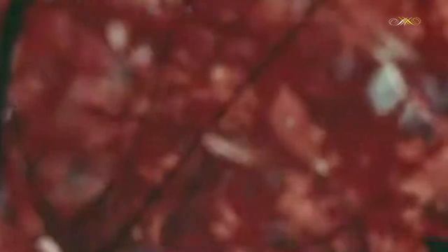 Листья падают с клёна смотреть онлайн
