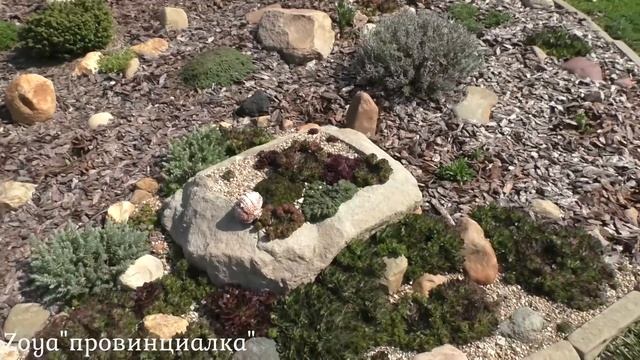 Первое цветение/Обзор цветников/ Альпийские растения/ Весна/Деревня/#деревня #flowers #весна #обзо смотреть онлайн