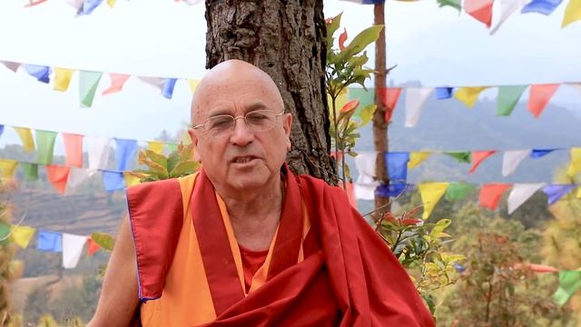 The Mindfulness Revolution | Matthieu Ricard смотреть онлайн
