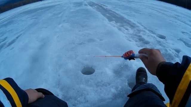 16 апреля. Ловля подлещика на чёртика. Первая серия.... смотреть онлайн