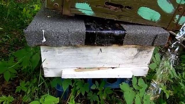 Начинающим пчеловодам объединение роя и мининука смотреть онлайн