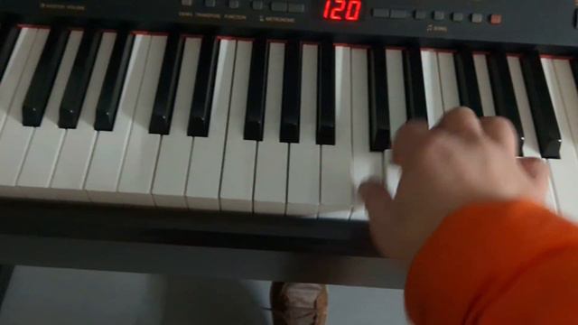Yamaha Clavinova CLP-930 digital piano in dark rosewood finish stock number 23373 смотреть онлайн