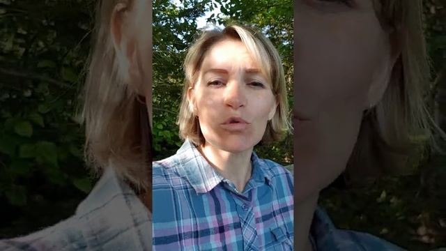 Мистическая стезя забытой преданности