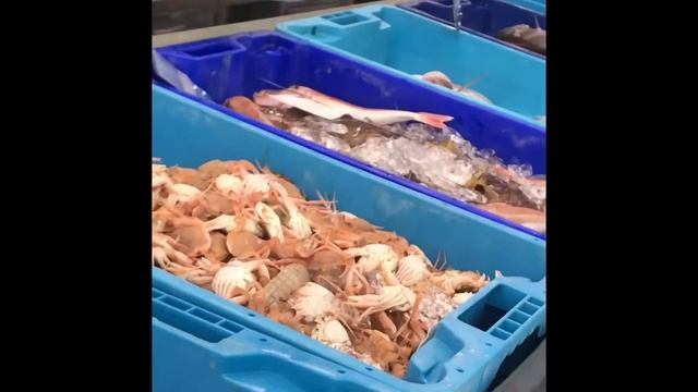 Дения, Испания смотреть онлайн