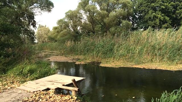 ЛЮБОВЬ И ЗЛОБА. Короткие Поучения Тихона Задонского смотреть онлайн