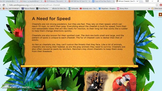AEP 800 Kids San Diego Zoo Tutorial смотреть онлайн