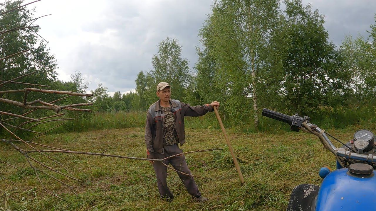 "Тропические" ливни прервали сенокос или короткие новости прошедшей недели! смотреть онлайн