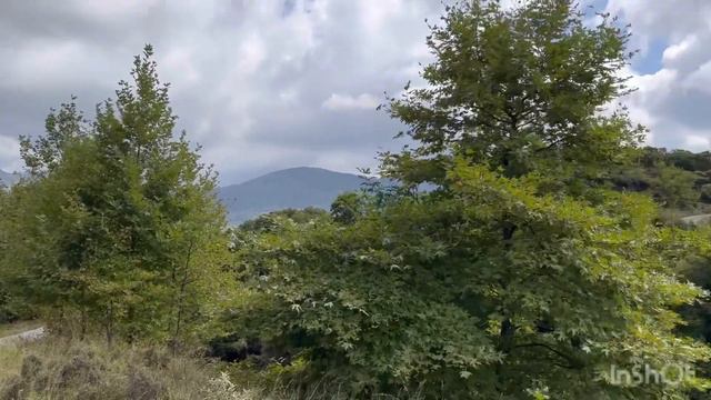 Обзорная поездка по горе Дирфис. Обед в таверне у моря! Остров Эвия (Эвбея). Греция. смотреть онлайн