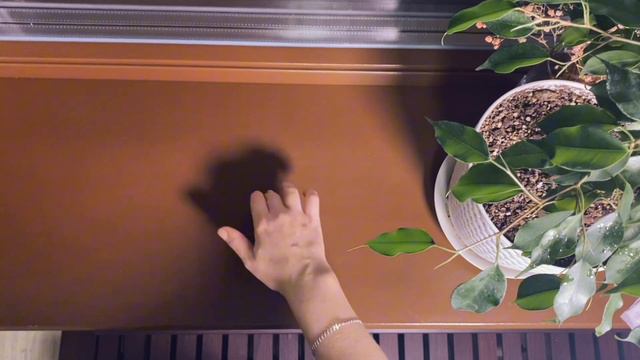 Что делать, если нет инструмента под рукой? Часть первая. Фортепиано для начинающих смотреть онлайн