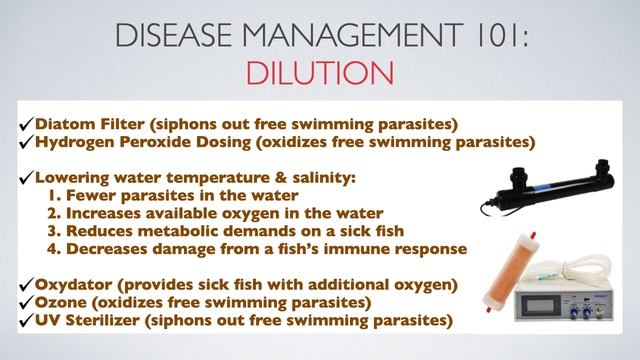 Fish Disease Management Techniques смотреть онлайн