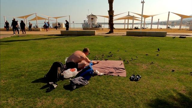 Winter holidays in Israel . Ein Bokek , Dead Sea смотреть онлайн