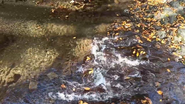 Jaw harp (Khomus) and guitar for your inspiration. смотреть онлайн