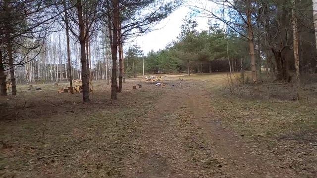 Продажа участка 200 соток д. Пленишник смотреть онлайн