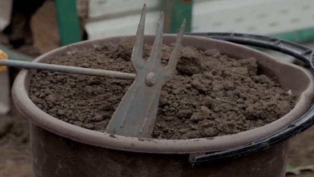 Как правильно посеять астры осенью под зиму смотреть онлайн