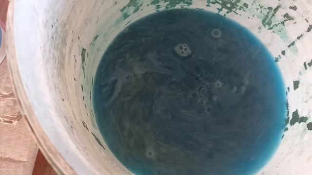 Весенняя обработка плодовых деревьев.