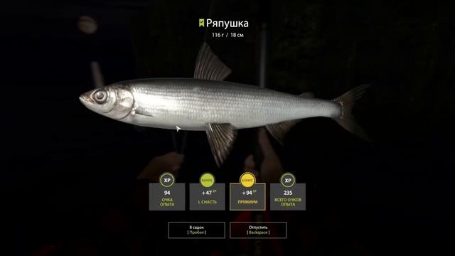 Русская рыбалка 4 / Ладожское озеро / Ряпушка с лодки на поплавок смотреть онлайн