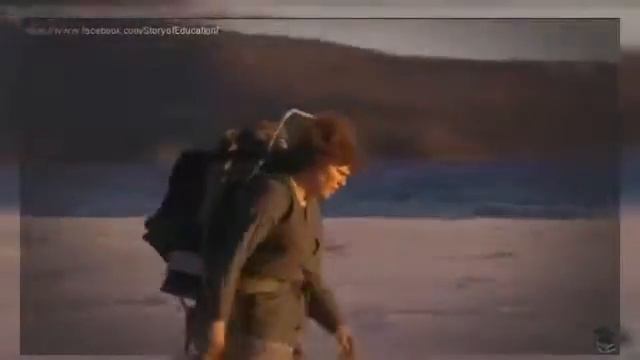 Wild Life Tasmanian Devils Tasmanian Wilderness