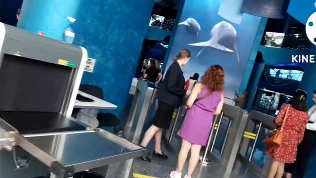 OCEAN PARK IN VLADIVOSTOK RUSSIA смотреть онлайн
