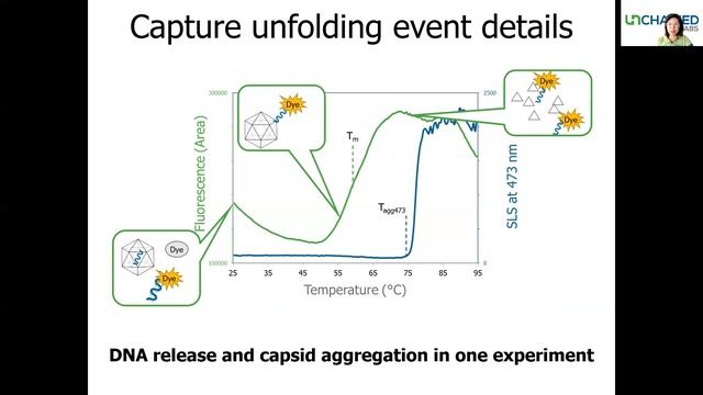 Automated parallel AAV characterization with new tools for gene therapy смотреть онлайн