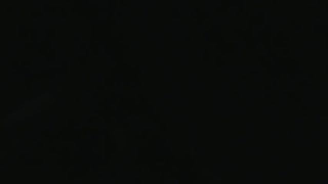 Лечение голубей от хрипоты и сальмонелёза