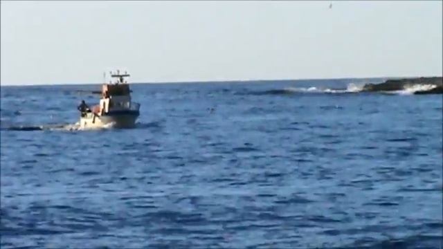 Isola delle Femmine   -Isola dei Gabbiani-