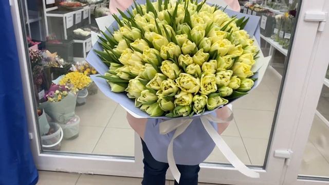 101 кремовый пионовидный тюльпан Авант Гард смотреть онлайн
