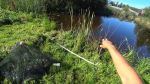 Рыбалка на болоте на карася! Раколовка-зонтик! Как наловить живца?