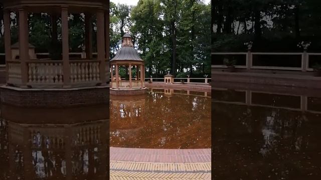 Боскет Менажерийный пруд. Летний сад смотреть онлайн