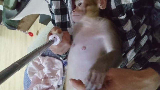 Маруся прибежала и легла со мной смотреть онлайн