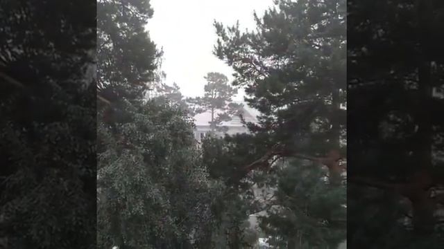 Усть-Илимск накрыт плотной пеленой дыма. Горожане публикуют видео смотреть онлайн