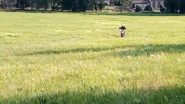 Jak se naučit na motorce смотреть онлайн