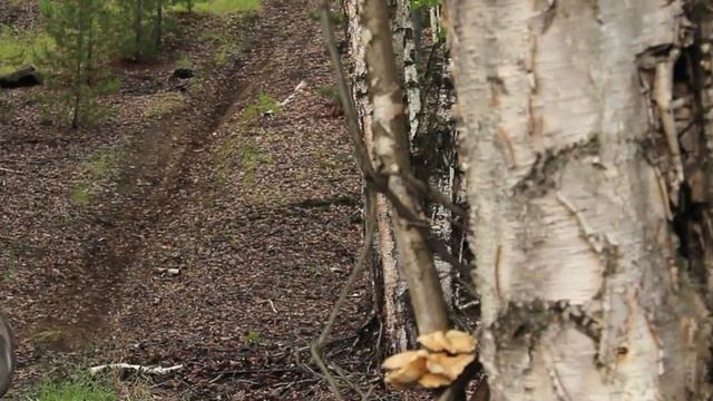 Mike Hopkins Ridden Hard, Put Away Wet. смотреть онлайн