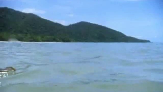 Распространение плодов водой.wmv смотреть онлайн