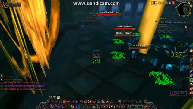 [Temple of Atal'Hakkar] (Sunken Temple) Testy part 3 смотреть онлайн