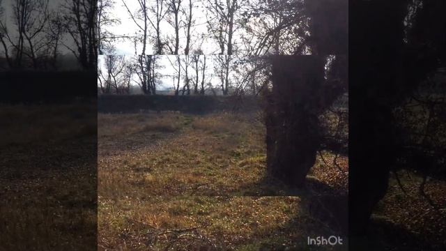 Моя первая єзда на мотоцикле смотреть онлайн