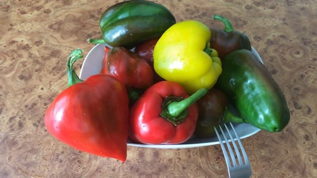 Творческий Подход