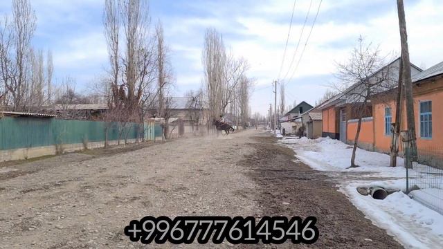 23 февраля 2022 г. смотреть онлайн
