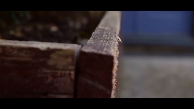 Canon 1100d Video Test смотреть онлайн