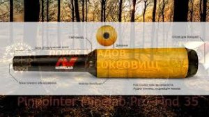 ТОП 5 лучших пинпойнтеров для копателей и кладоискателей