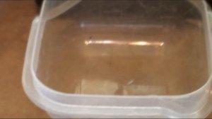 Электропрялка. Прядение шерсти. Настройка прялки БЭП 2.