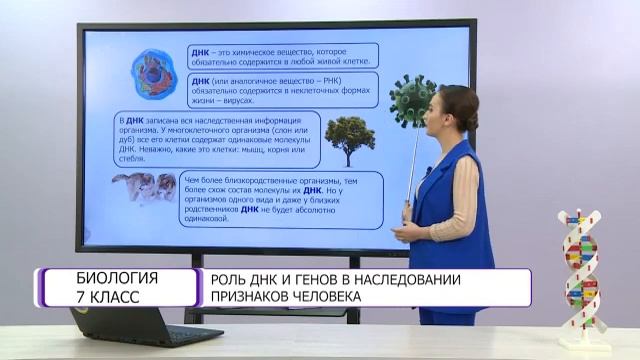 Биология. 7 класс. Роль ДНК и генов в наследовании признаков человека /02.04.2021/ смотреть онлайн