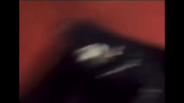 NEVER TWERK AND DRIVE смотреть онлайн