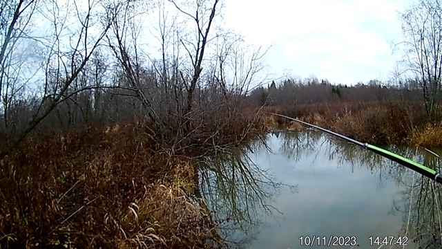 Рыба ушла на дальний кордон смотреть онлайн