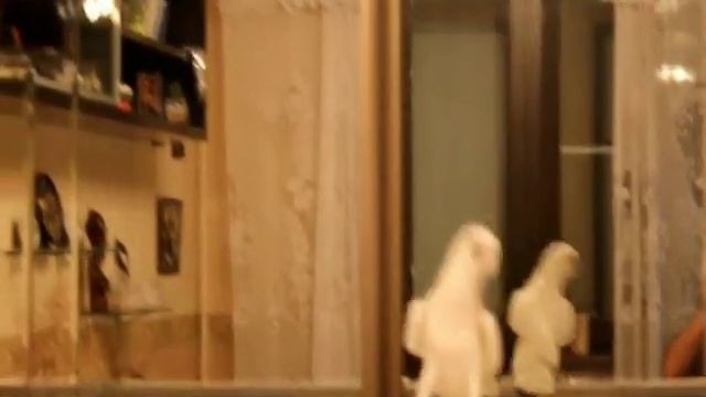Виталик Айтян-Танцуем ламбаду (Позитивчик) смотреть онлайн
