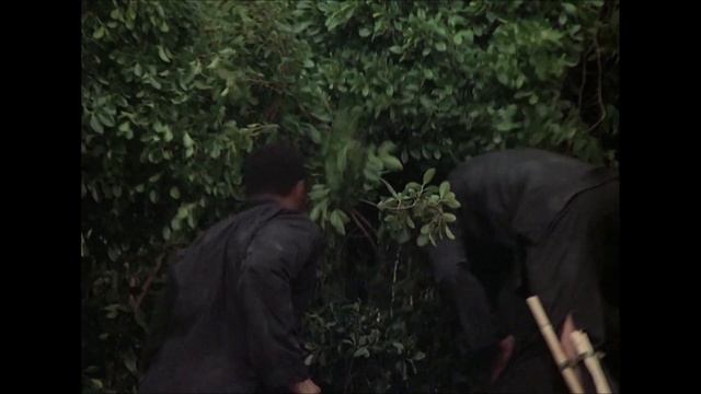 Magnum PI - Paint It Black (4K upscaled) 2021 смотреть онлайн