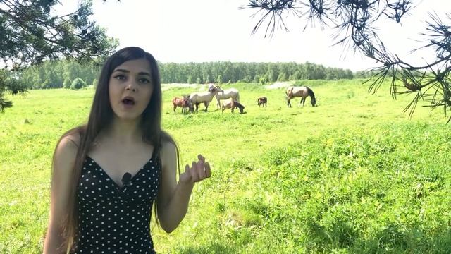ДЕШЕВЫЙ ландшафтный дизайн? смотреть онлайн